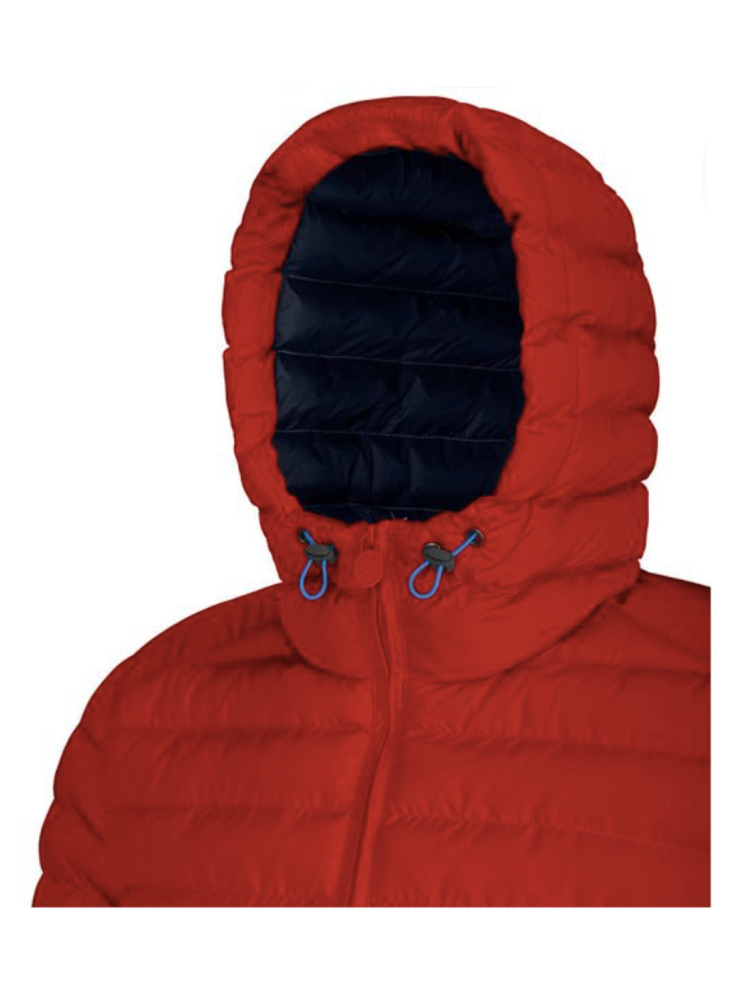 Piumino uomo Invicta corto con cappuccio vari colori